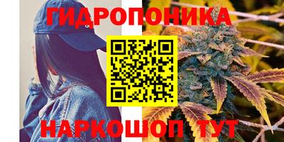 эйфоретик Краснокаменск