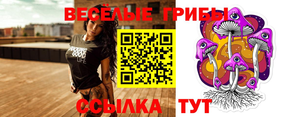 Галлюциногенные грибы ЛСД Железногорск